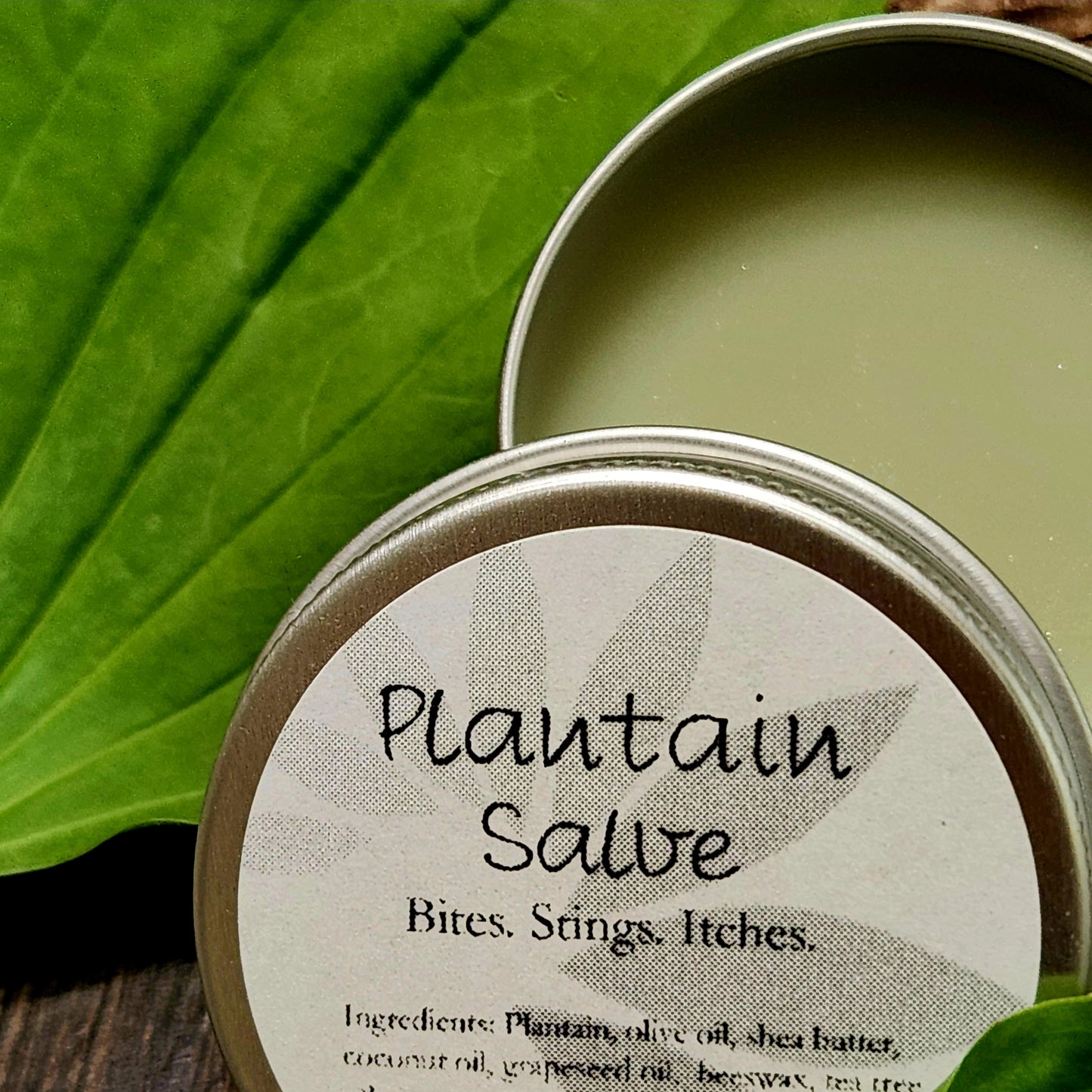 Plantain Salve