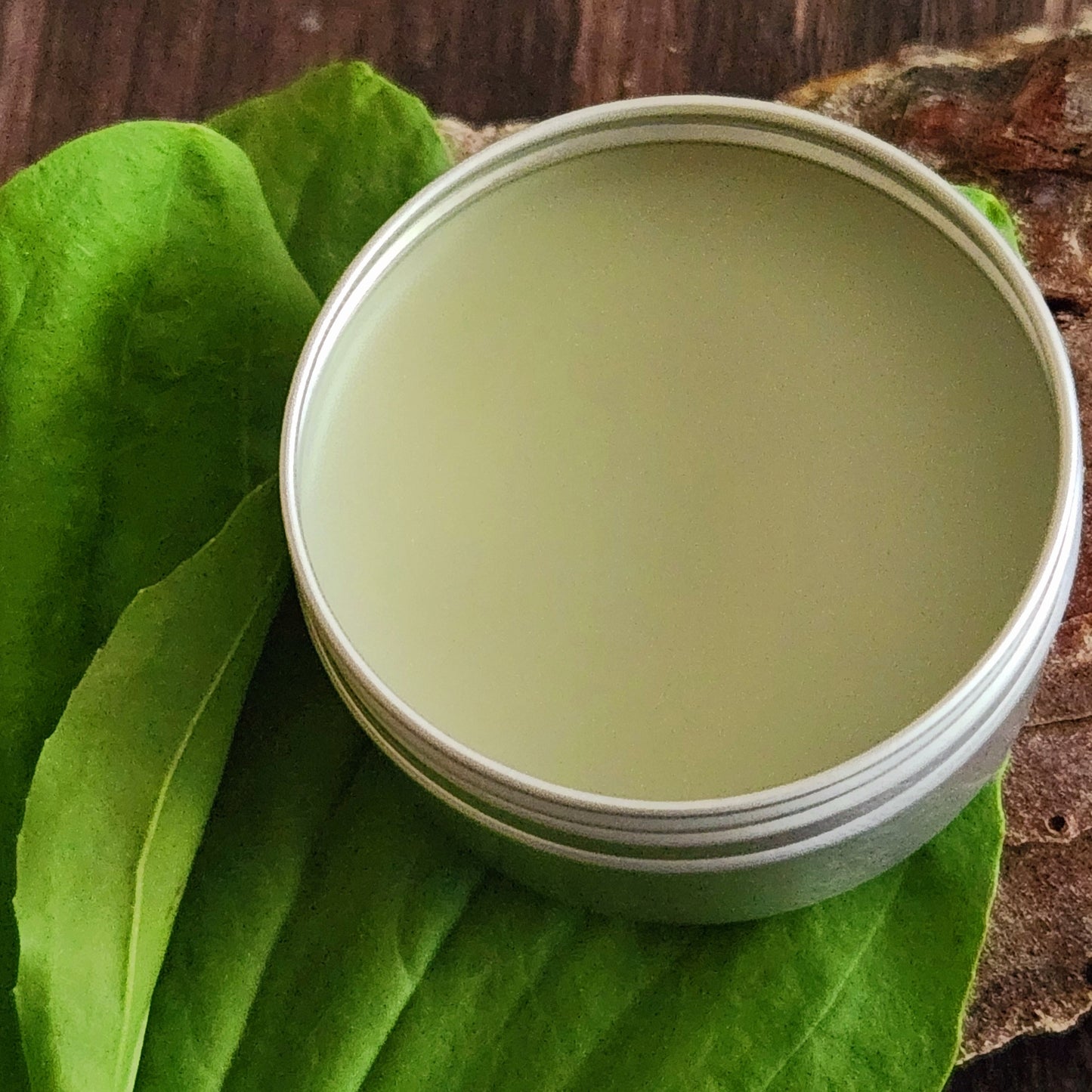 Plantain Salve